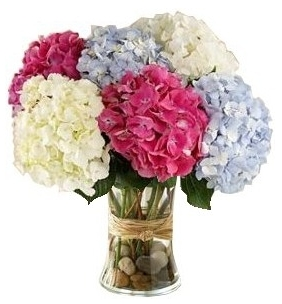 MIXED HYDRANGEA ARRANGEMENT