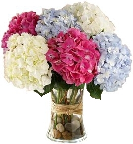 MIXED HYDRANGEA BOUQUET
