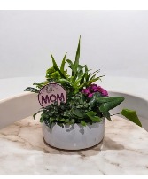 Mixed Mother's Day Ceramic Planter Large  Ceramic Planter