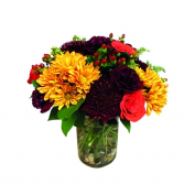 Mixed Orange Flowers 