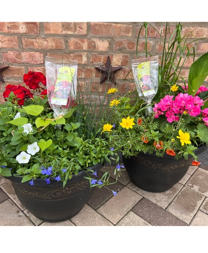 Mixed Outdoor Pots Plant