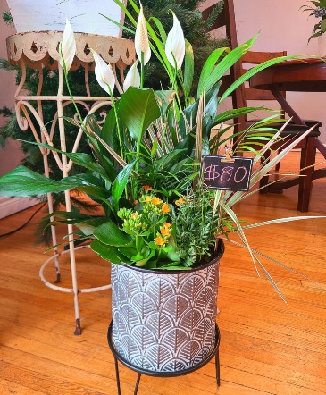 Mixed Planter   in Windsor, ON | K. MICHAEL'S FLOWERS & GIFTS