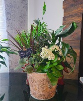Mixed Planter  