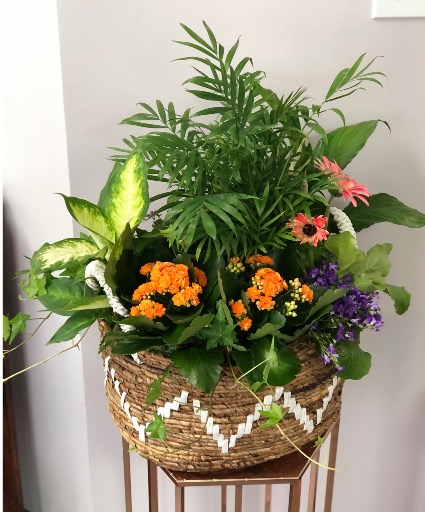 Mixed planter in basket 