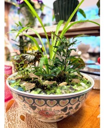 Mixed Planter in Vintage Chinoiserie Bowl House Plant