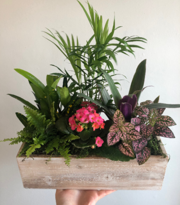 Mixed Planter (Light Wash)  in Cambridge, ON | KELLY GREENS FLOWERS & GIFT SHOP