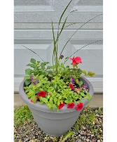 Mixed Planter Outdoor plants