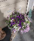 Mixed pot hanging basket 