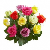 Mixed Rose Bunches No Frills Offer
