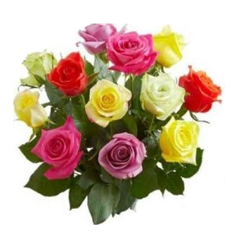 Mixed Rose Bunches No Frills Offer in Delta, BC | FLOWERS BEAUTIFUL