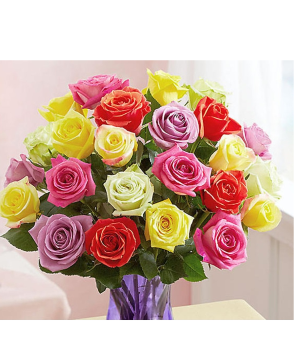Mixed Rose Dozen Assorted Roses