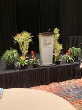 Mixed Southwest Tropical Stage Decor 