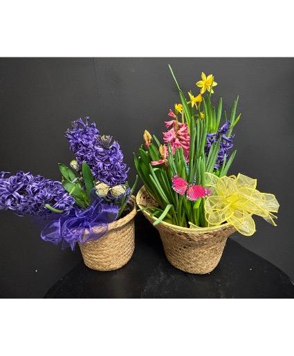 Mixed Spring Garden Basket Plant seasonal