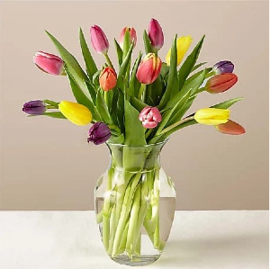 Mixed Tulip Bouquet 