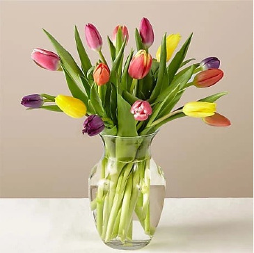 Mixed Tulip Bouquet  in Livermore, CA | KNODT'S FLOWERS