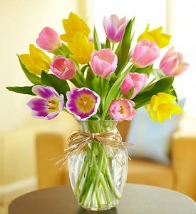 Mixed Tulips