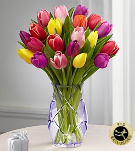 mixed tulips