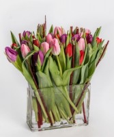 Twiggy Tulips Vased Arrangement, Compact Mixed Tulips and branches