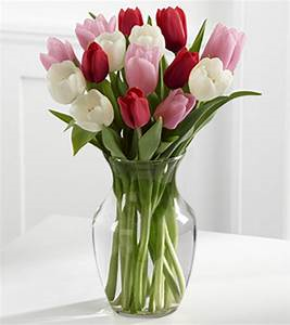 Mixed Tulips in clear vase Spring/ vase