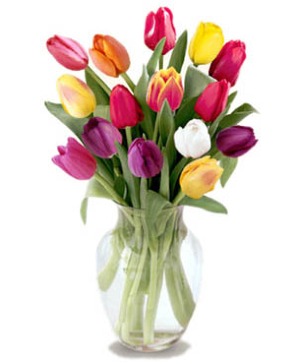 Mixed Tulips Standard Arrangement
