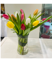 Mixed Tulips 12 stems in vase Vase