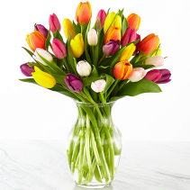 Multi Colored Tulips Arrangement