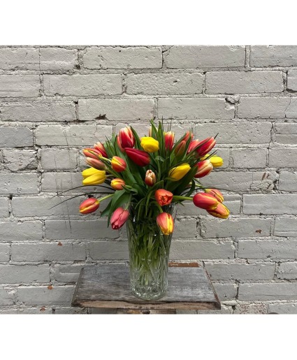 Mixed Tulips With Greens 