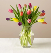 Mixed vase of tulips 