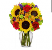 MIXTO AND SUNFLOWER ON VASE M