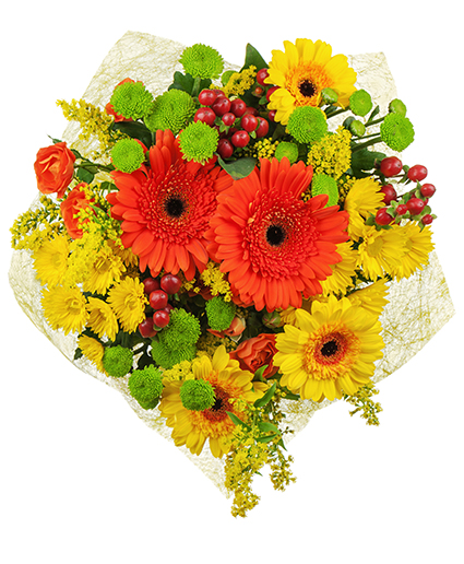 Sophia Bouquet