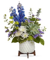 Mod Magnifique Arrangement  