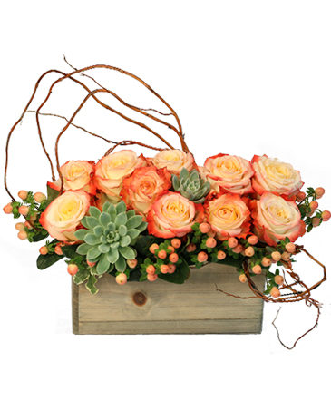 Lover's Sunrise Modern Arrangement in Fort Collins, CO | D'ee Angelic Rose Florist