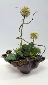 Modern Arrangement  Interior Design 