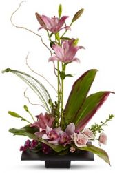 Modern blooms High Style