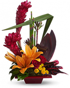 Category Image