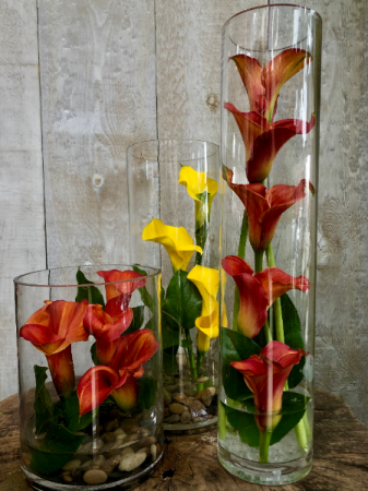 Modern Callas Calla lilies with greenery and stones in vase