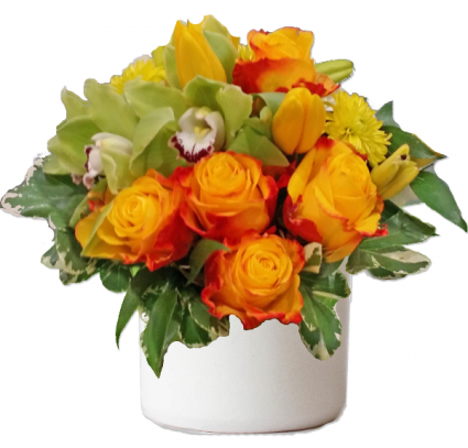 Modern Citrusy Twist Cut Flowers