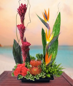 Modern Delight Tropical by Enchanted Florist