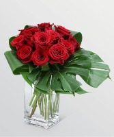 Modern Dozen Fresh Flowers