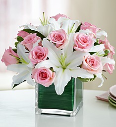 Modern Embrace BN91116 Arrangement
