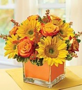 Modern Enchantment for Fall