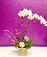 Modern Fall Orchid Floral Arrangement