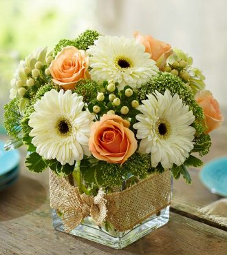 MODERN GERBERA DAISY & ROSE