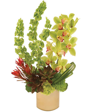 Modern Green Arrangement in Wahiawa, HI | JUDY'S FLOWERS INC.