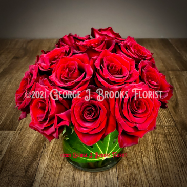 MODERN ROMANCE  in Brattleboro, VT | George J. Brooks Florist LLC