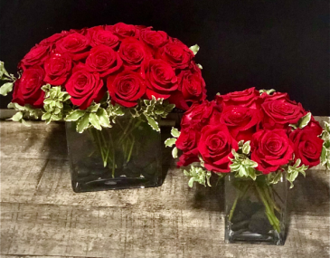 Modern Love Large or Small Option of Red Roses in Key West, FL | Petals & Vines