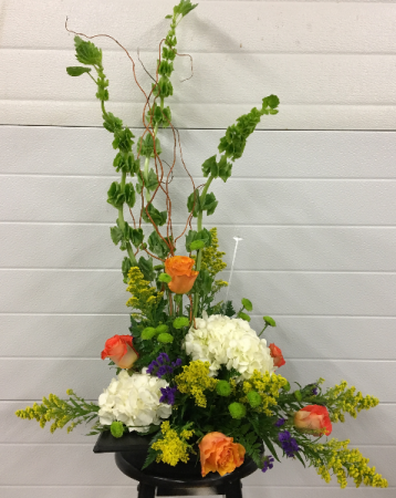 Modern Melody Trending Floral