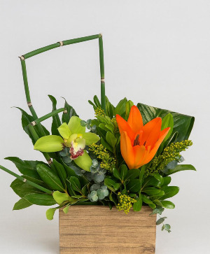 Modern Oasis Vase arrangement