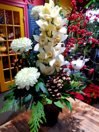 modern orchid arrangement