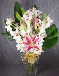 Modern Orchids - White in Las Vegas, NV | FLOWERS OF THE FIELD Modern Orchids - White in Las Vegas, NV | FLOWERS OF THE FIELD